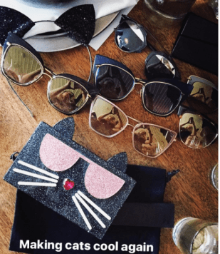 hot-to-adopt-making-cats-cool-again