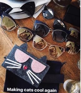 hot-to-adopt-making-cats-cool-again